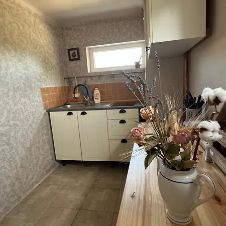 Prvorepublikovy Dum Se Zahradou *