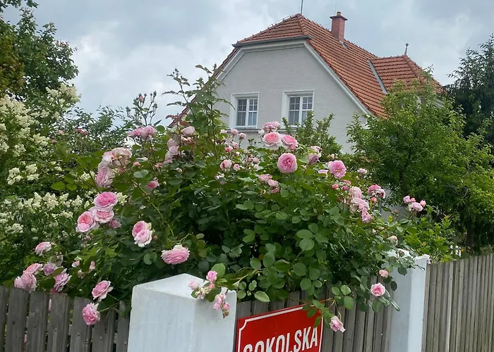 Prvorepublikovy Dum Se Zahradou
